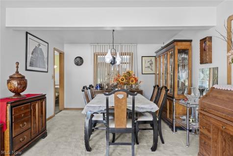 246 Elmdale Avenue Akron OH 44313