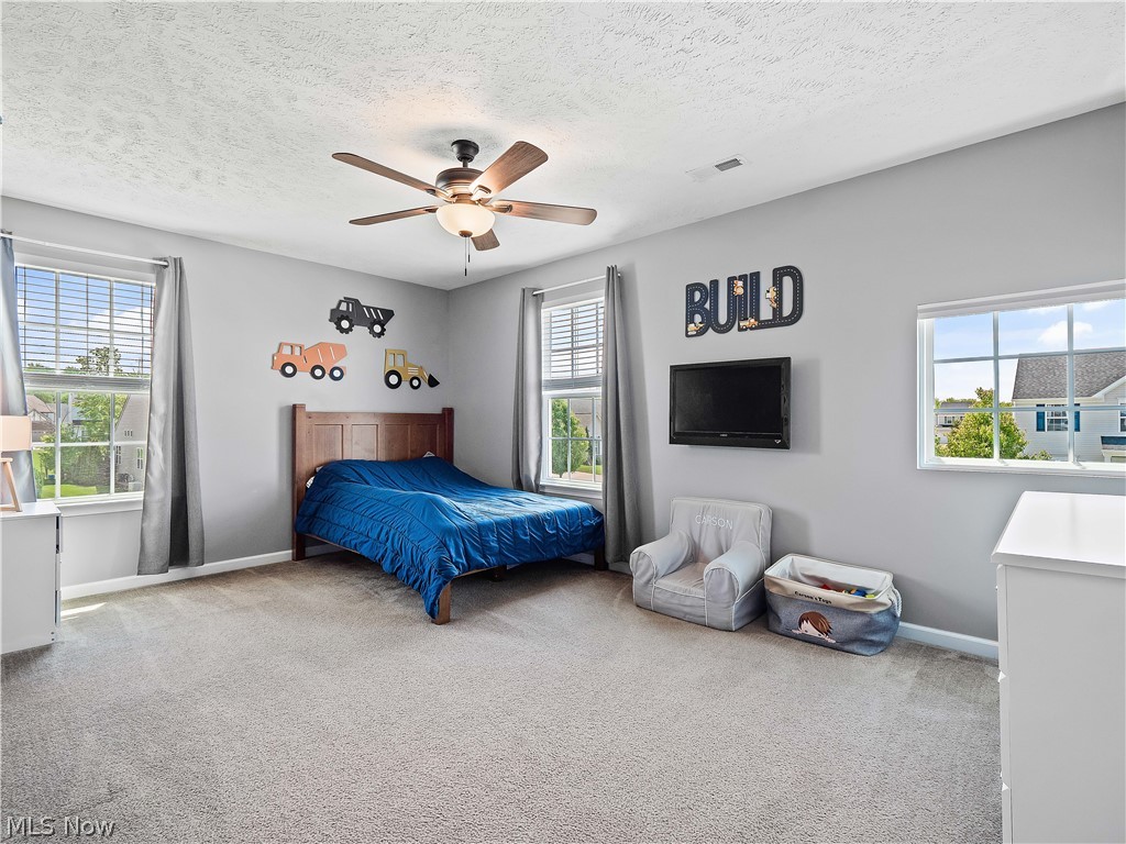 3145 Wheaton Dr Drive Avon OH 44011
