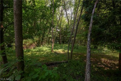 4831 Dueber Avenue SW Canton OH 44706