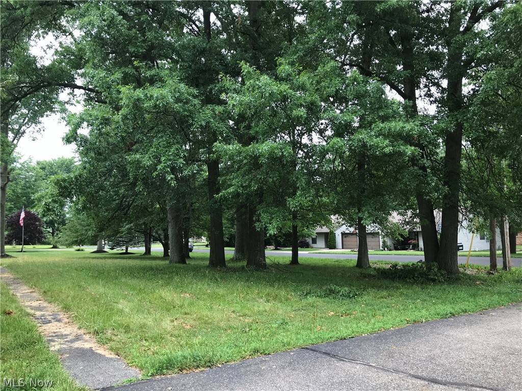5045 Argonne Drive Youngstown OH 44515
