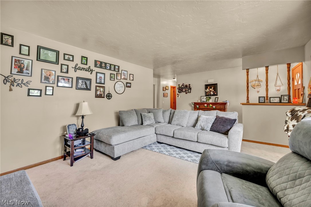 1141 Novak Road Grafton OH 44044