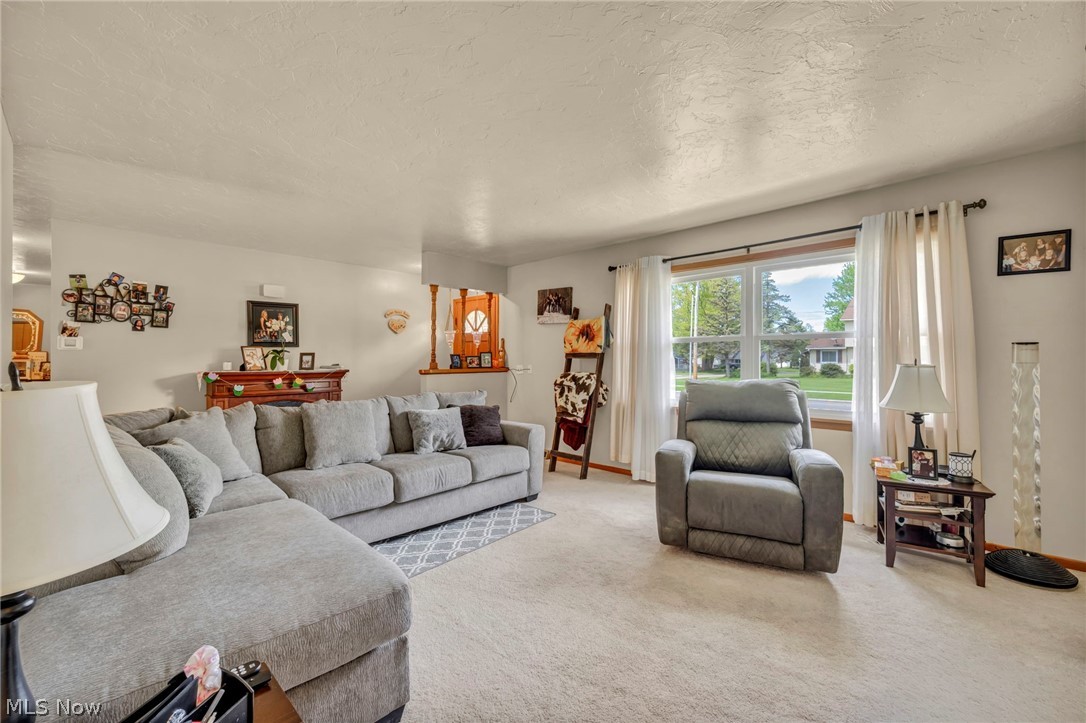 1141 Novak Road Grafton OH 44044