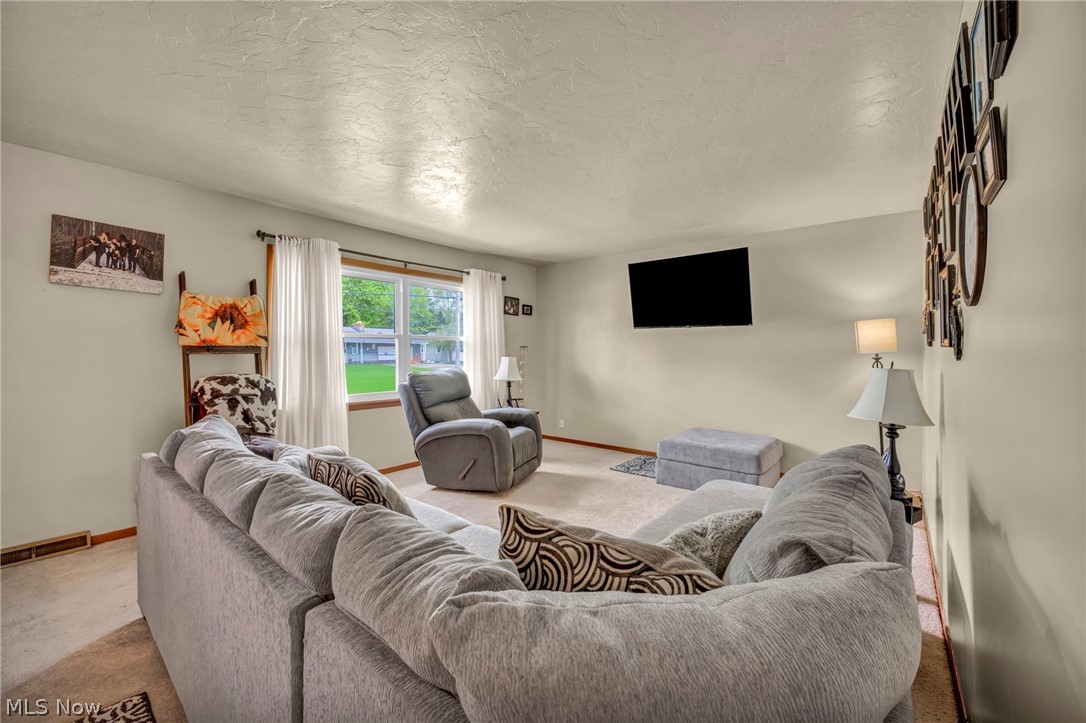 1141 Novak Road Grafton OH 44044