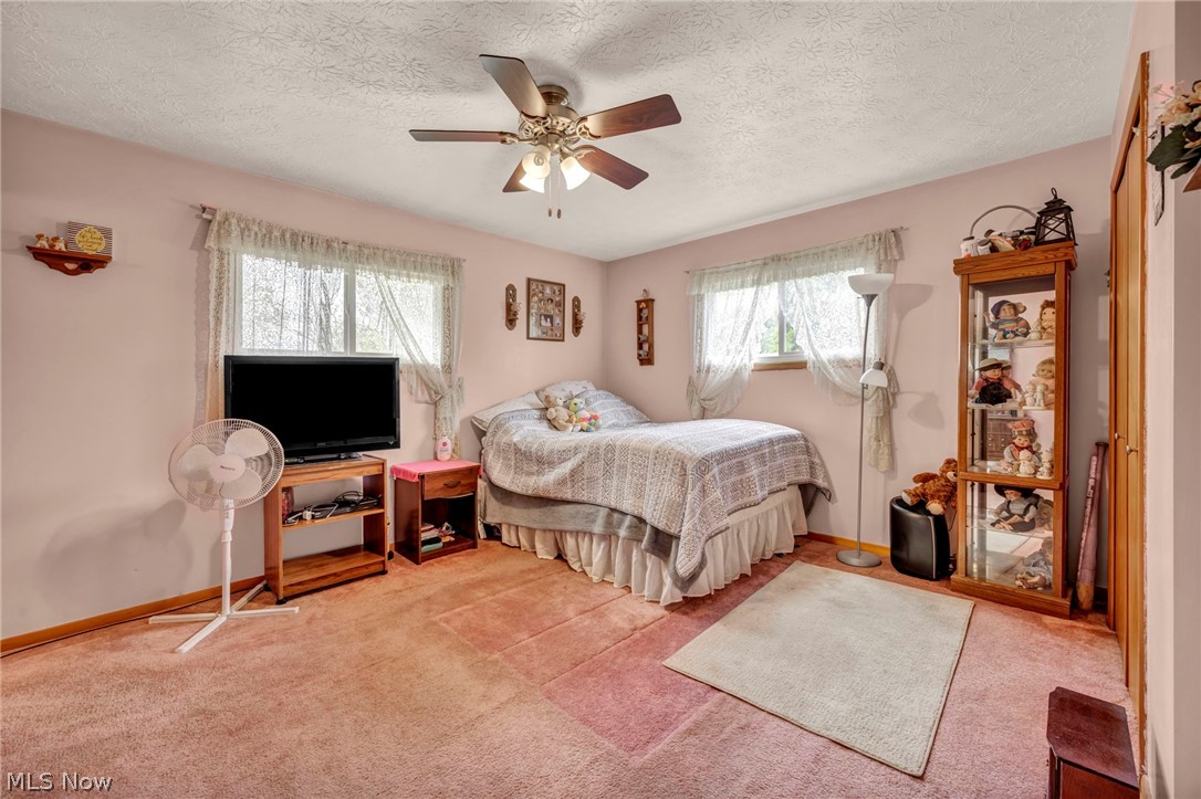 1141 Novak Road Grafton OH 44044