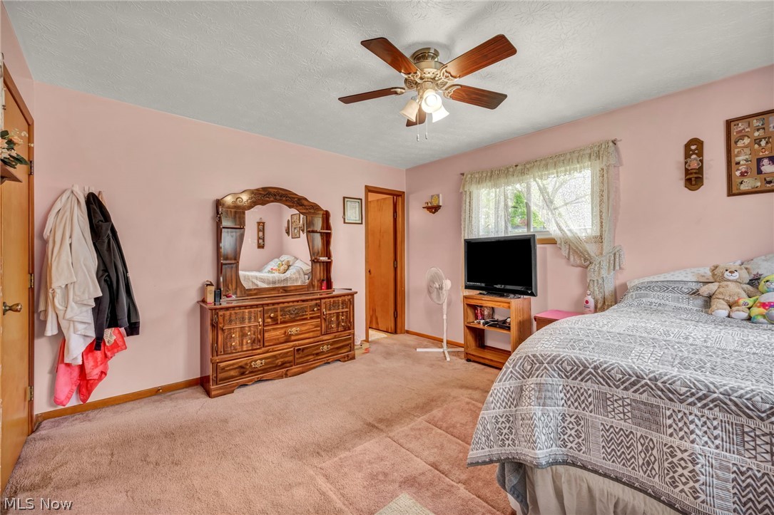 1141 Novak Road Grafton OH 44044