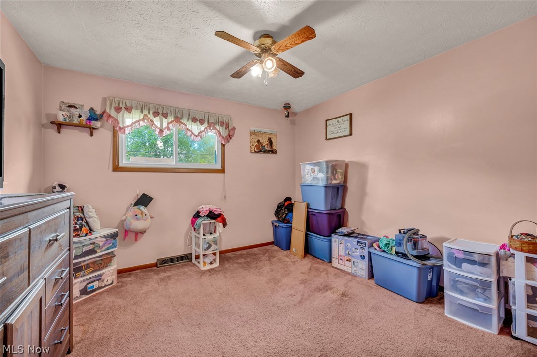 1141 Novak Road Grafton OH 44044
