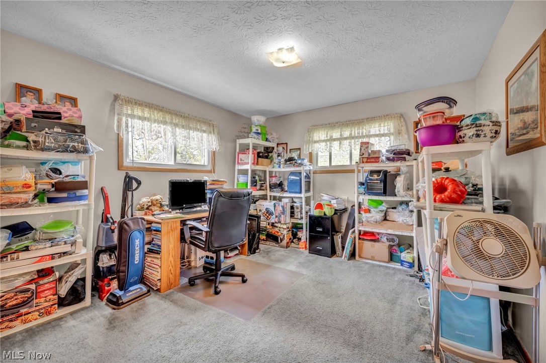 1141 Novak Road Grafton OH 44044