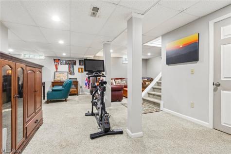 83 Hayes Street Painesville OH 44077