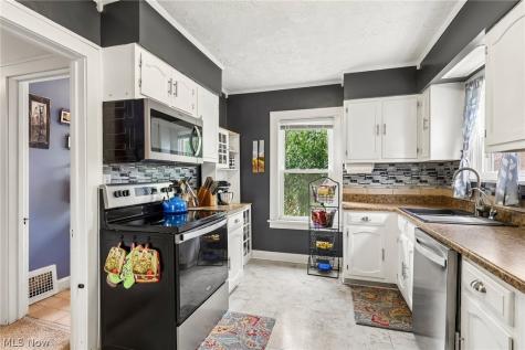 83 Hayes Street Painesville OH 44077