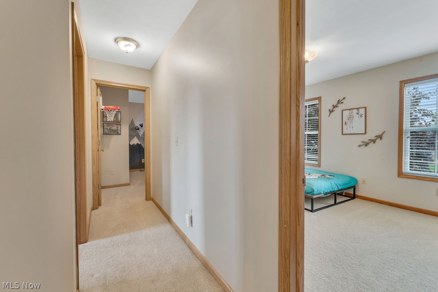 6905 Winterpark Avenue Austintown OH 44515