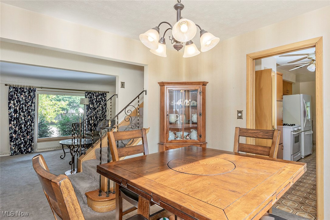 24120 Glenbrook Boulevard Euclid OH 44117