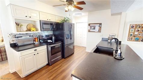 552 Vesely Court Eastlake OH 44095