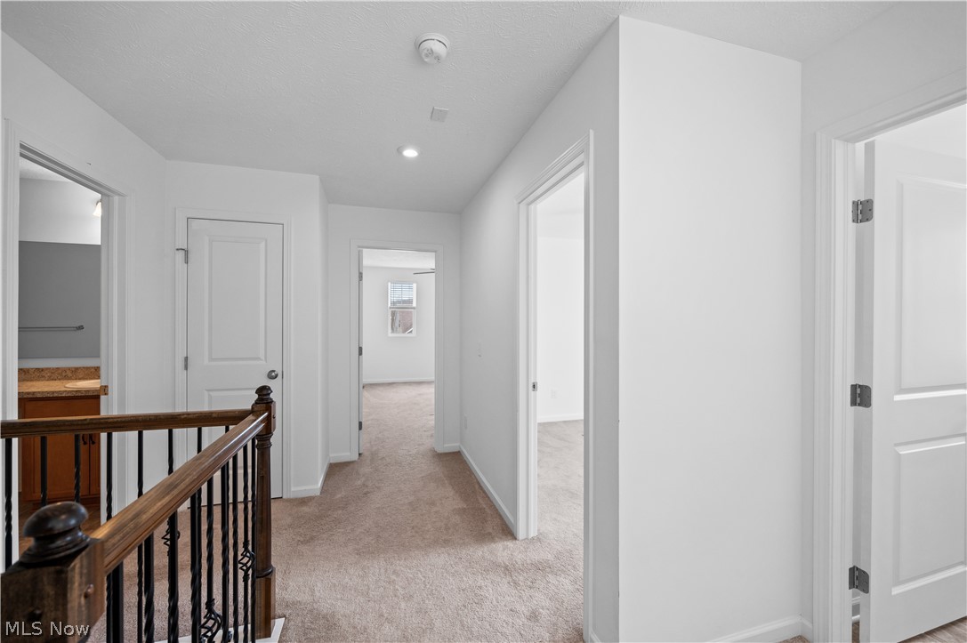 2957 Darlene Court Twinsburg OH 44087