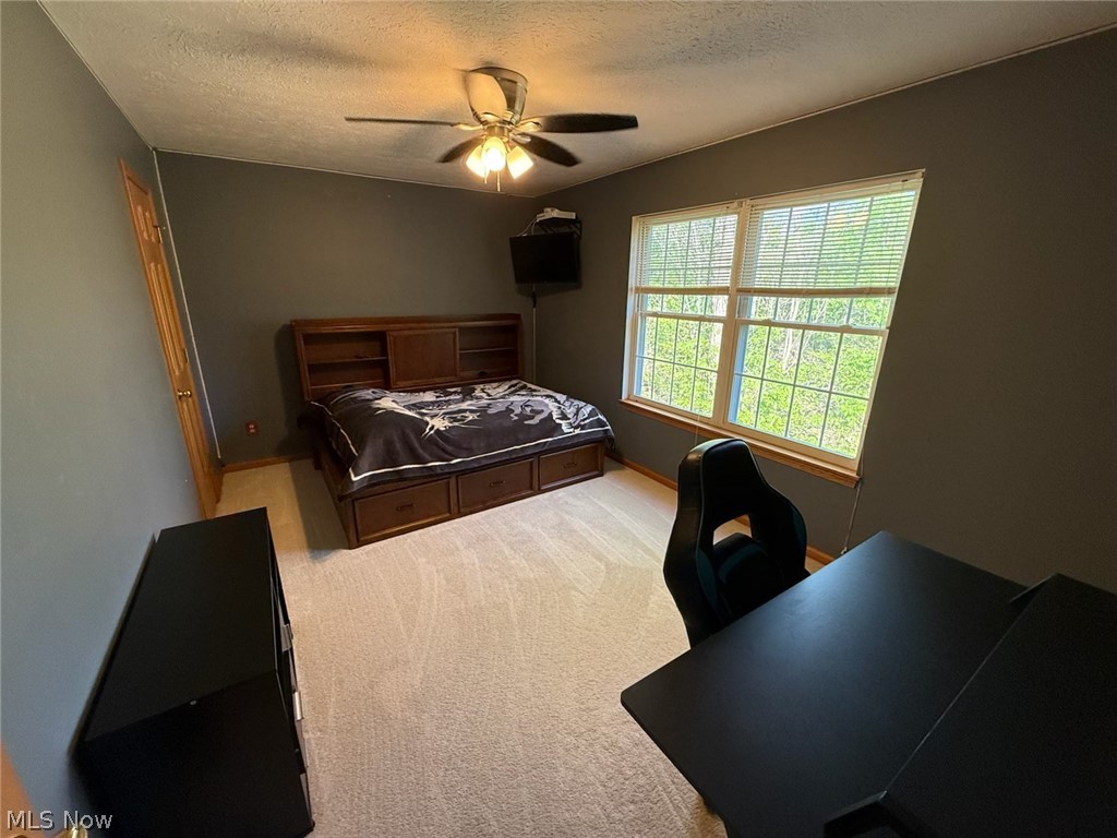 8780 Jackson Street Mentor OH 44060