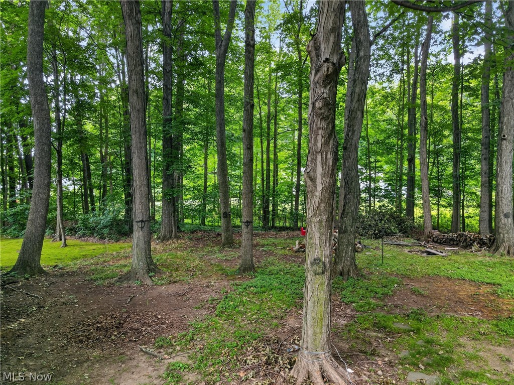 628 Park Oval Madison OH 44057