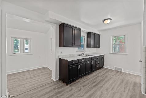 19701 Pasnow Avenue Euclid OH 44119