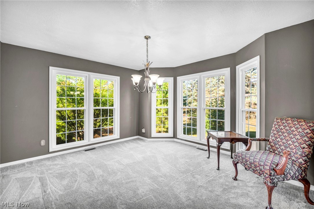 3045 Irena Lane Twinsburg OH 44087