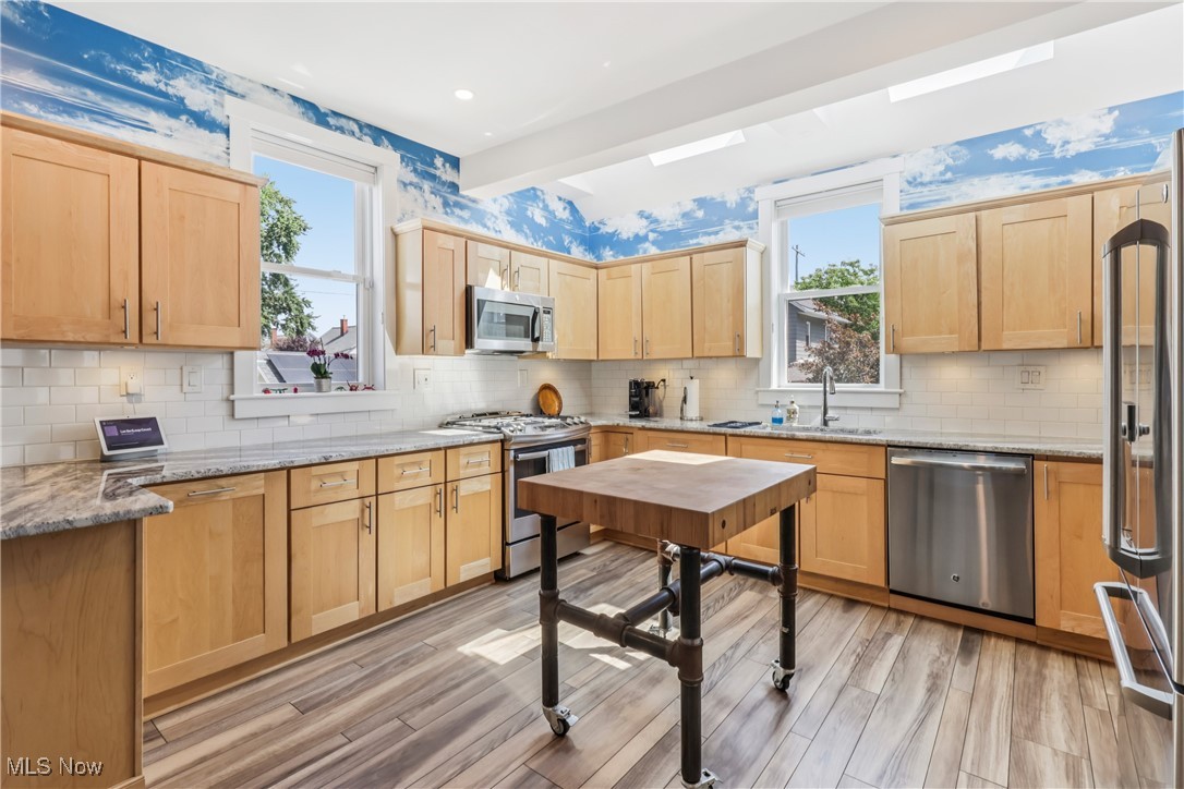 1463 Wyandotte Avenue Lakewood OH 44107