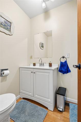 93 Longacre Lane Chippewa Lake OH 44215