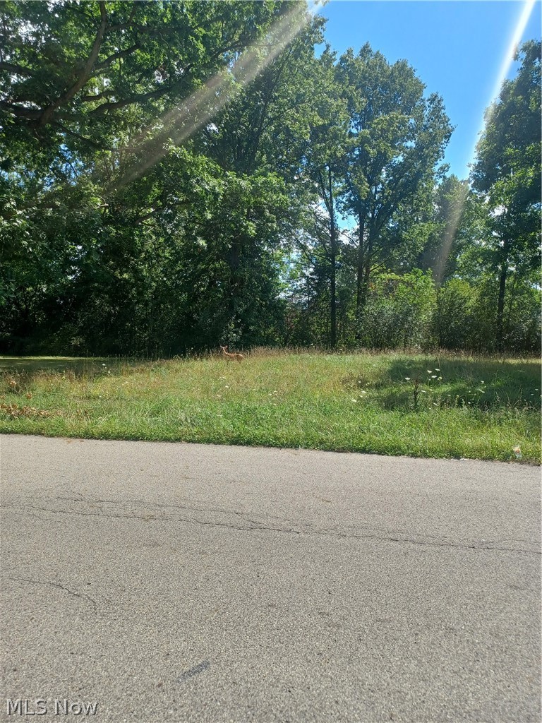 660 4th Street SW Warren OH 44483