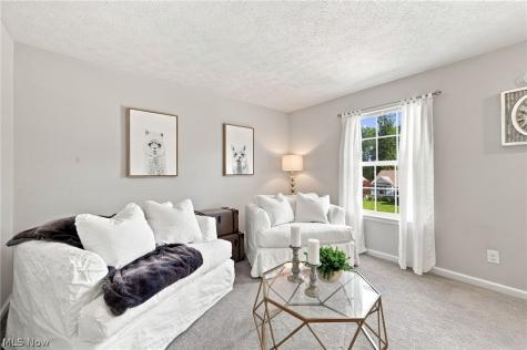 8740 Summer Wind Lane Mentor OH 44060