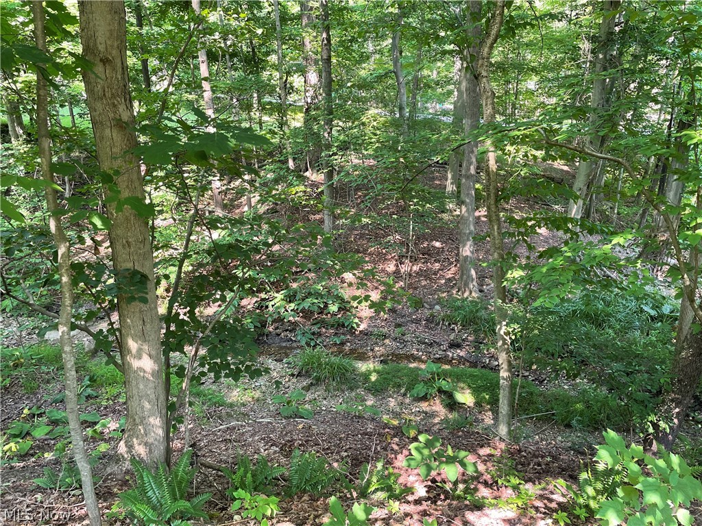 11629 Edgewood Road Chardon OH 44024