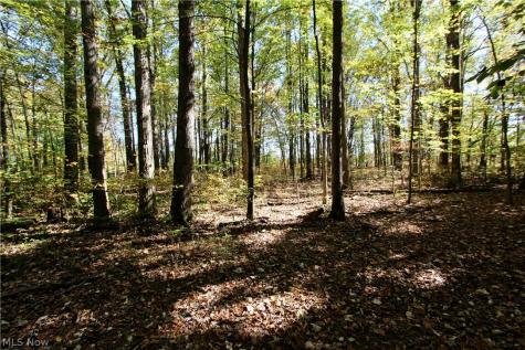 26420 West Road Wellington OH 44090