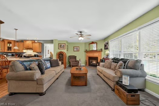 2153 Deer Run Drive Roaming Shores OH 44084