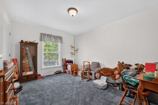 2153 Deer Run Drive Roaming Shores OH 44084