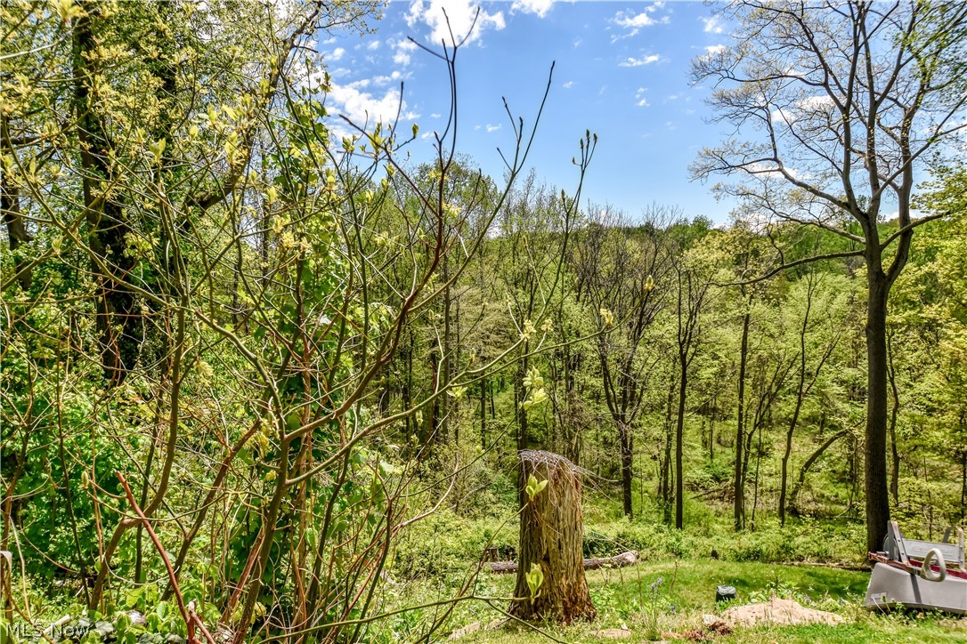 909 Lincoln Drive Conneaut OH 44030