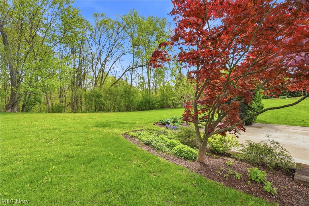 35 Greentree Road Moreland Hills OH 44022