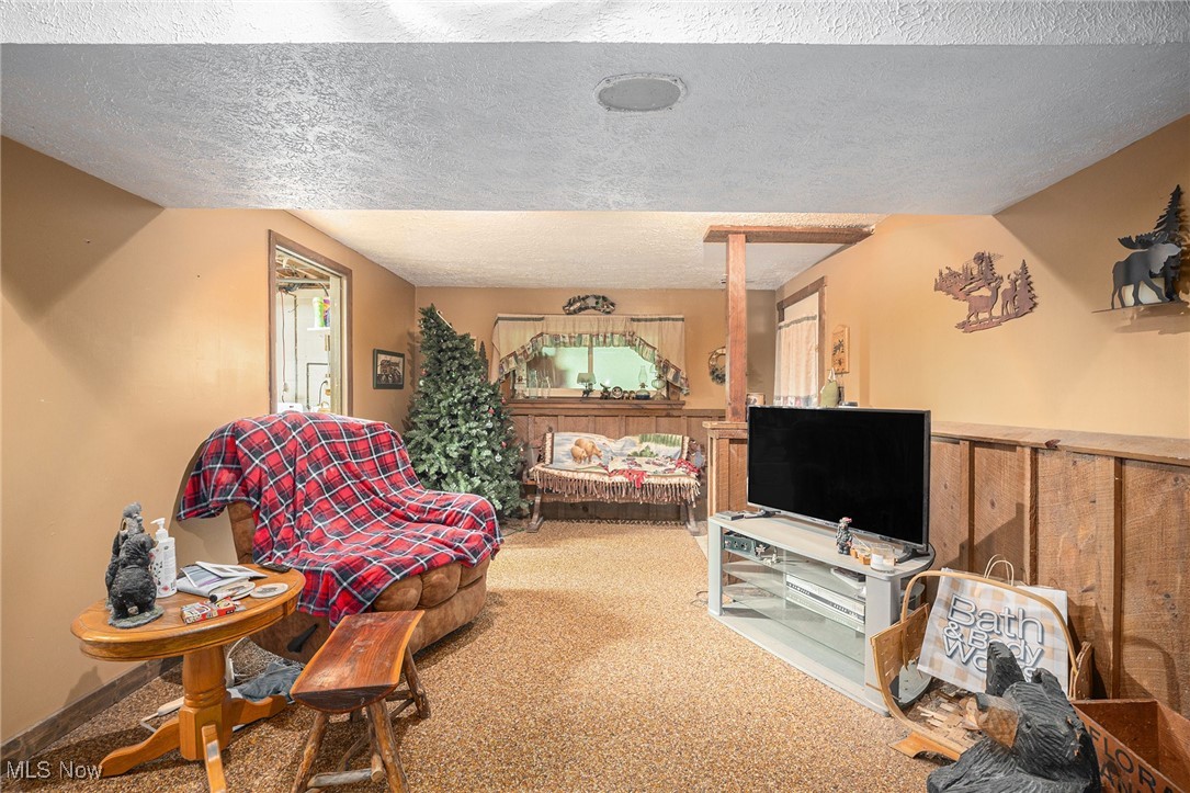 7032 Reed Road Conneaut OH 44030