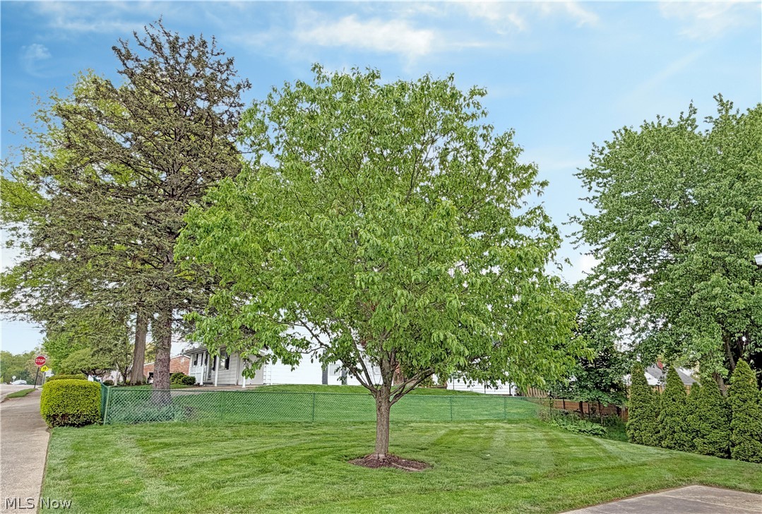 502 Wise Avenue SE North Canton OH 44720
