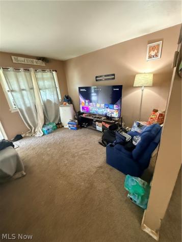 136 Sheriff Street Elyria OH 44035