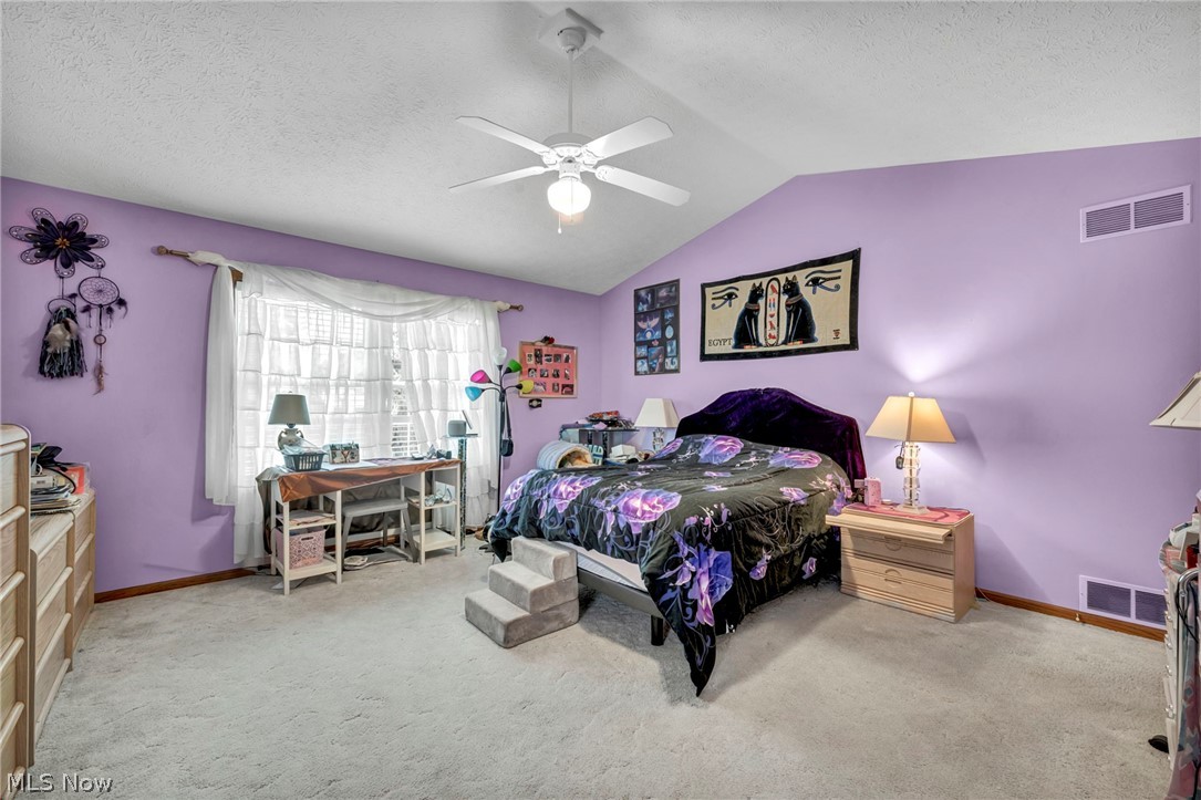 4136 Telegraph Lane Vermilion OH 44089