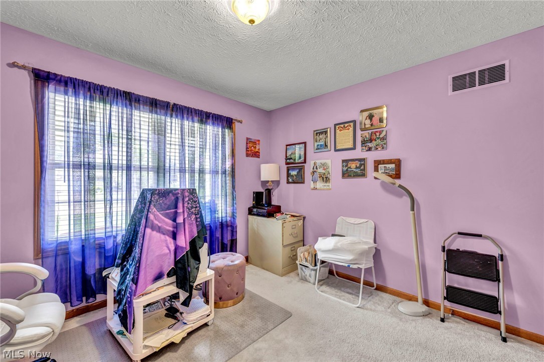 4136 Telegraph Lane Vermilion OH 44089