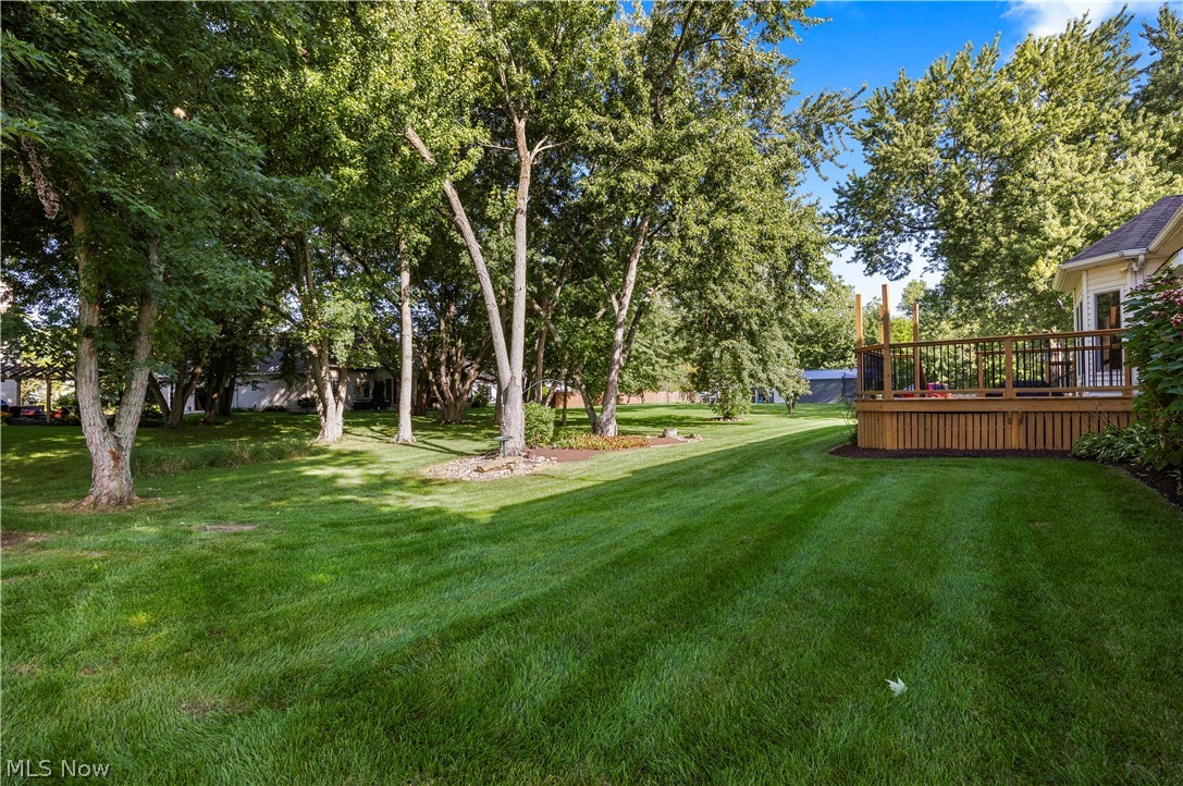 2520 Center Road Avon OH 44011