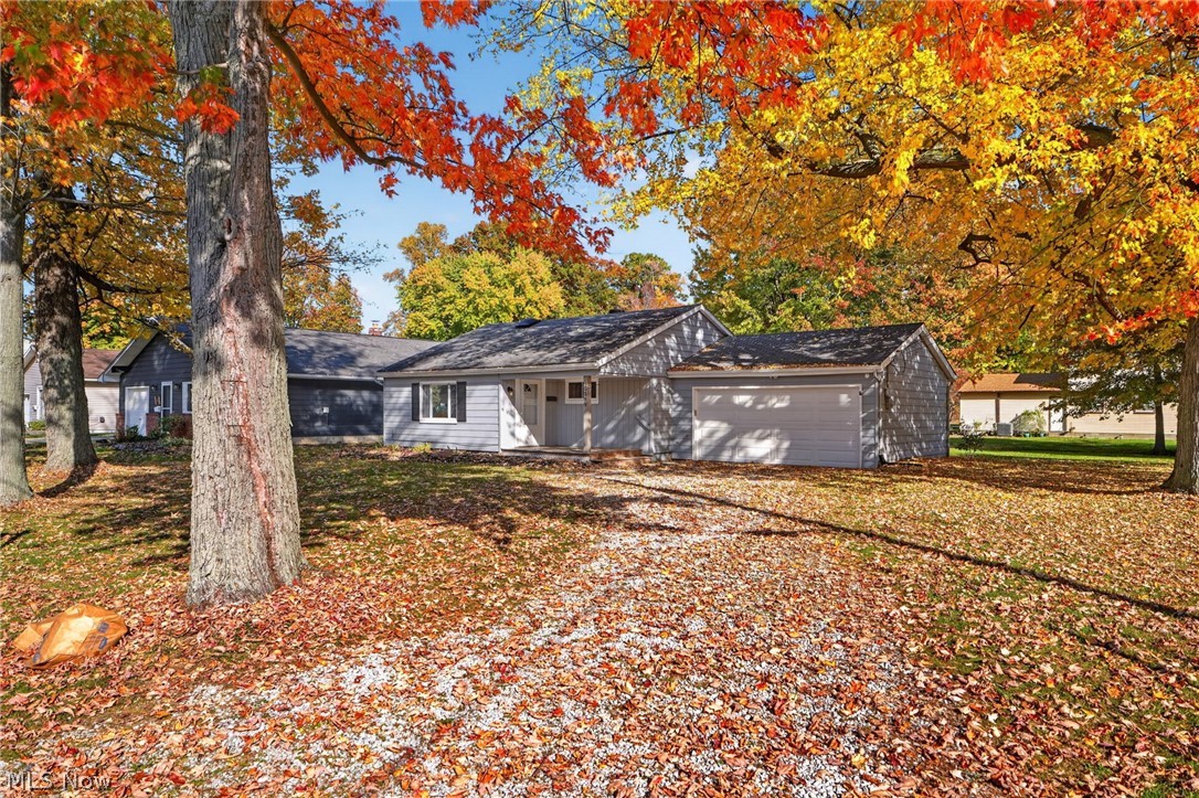 5599 Grove Avenue Mentor OH 44060