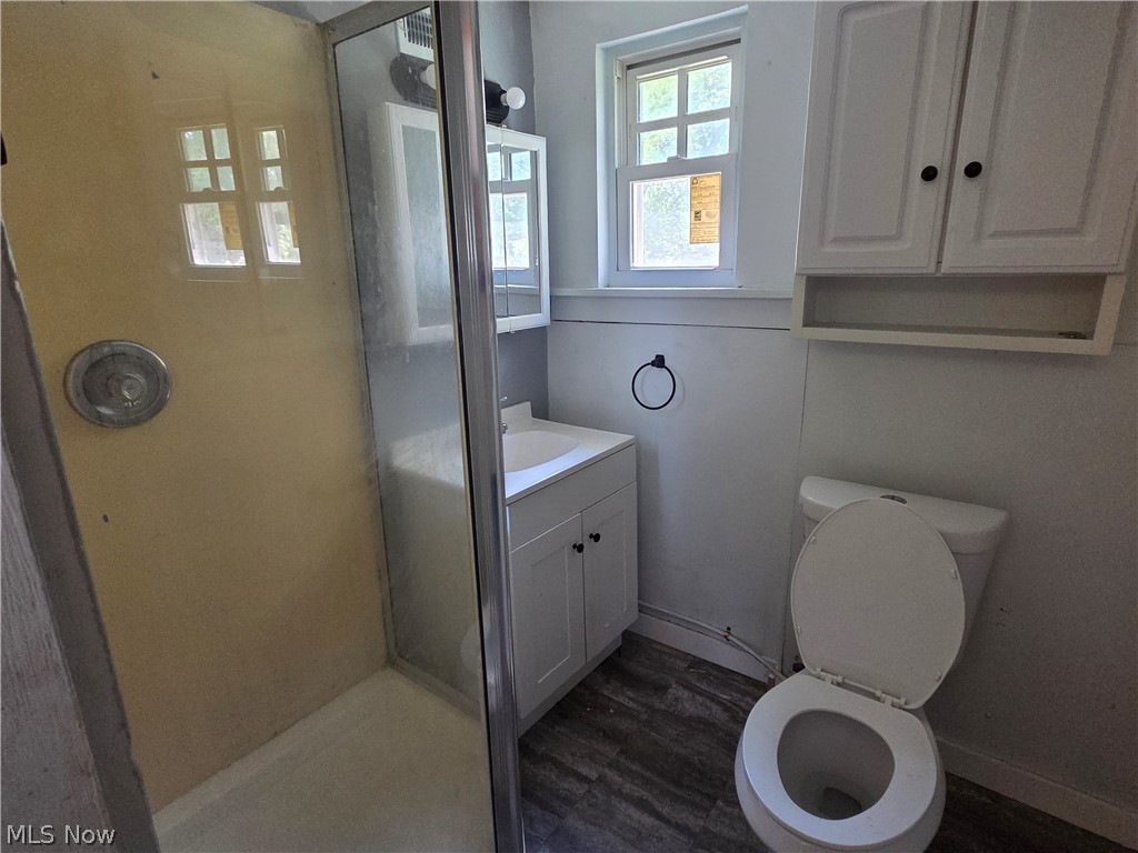 199 Mathews Street Painesville OH 44077