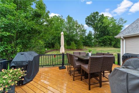 3701 Falcon Ridge Drive Medina OH 44256
