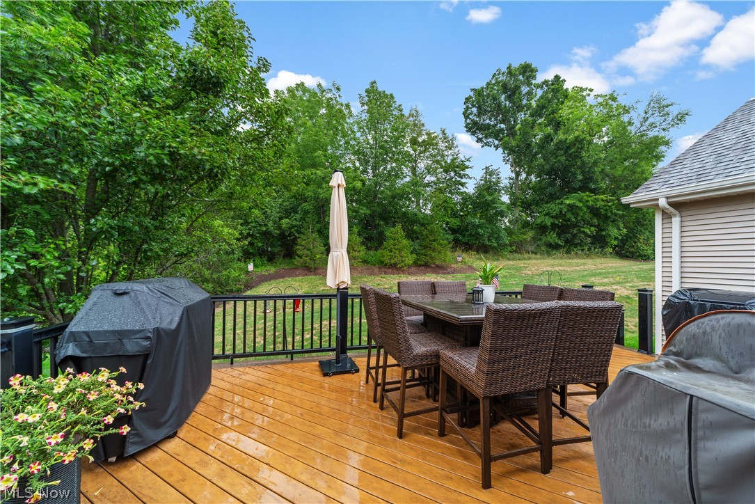 3701 Falcon Ridge Drive Medina OH 44256