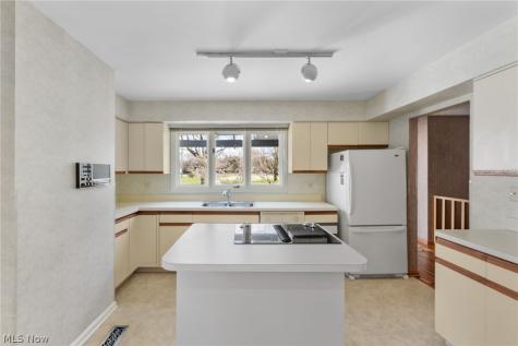 6656 Woodhawk Drive Mayfield Heights OH 44124