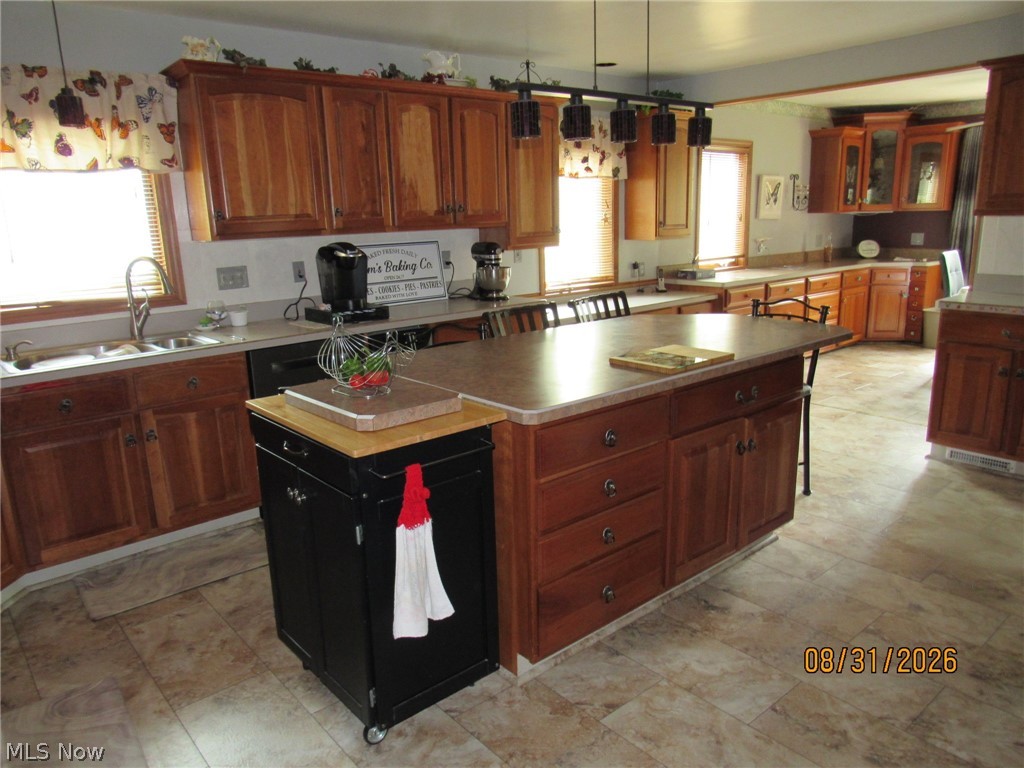 1733 E 238th Street Euclid OH 44117