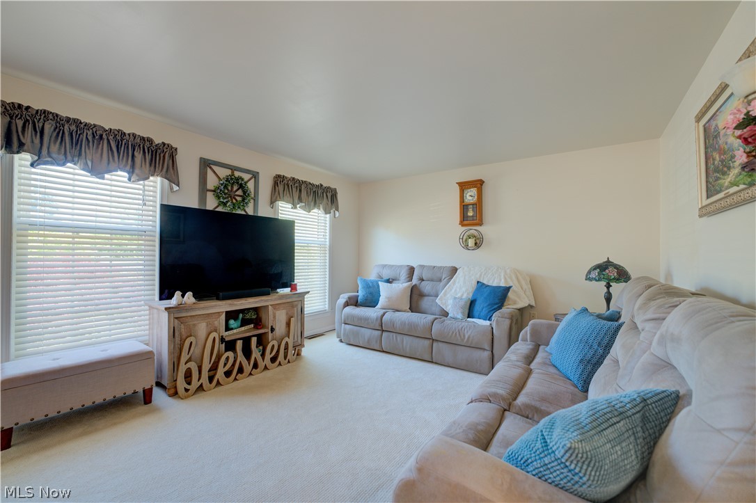 6008 Conneaut Light Drive Vermilion OH 44089