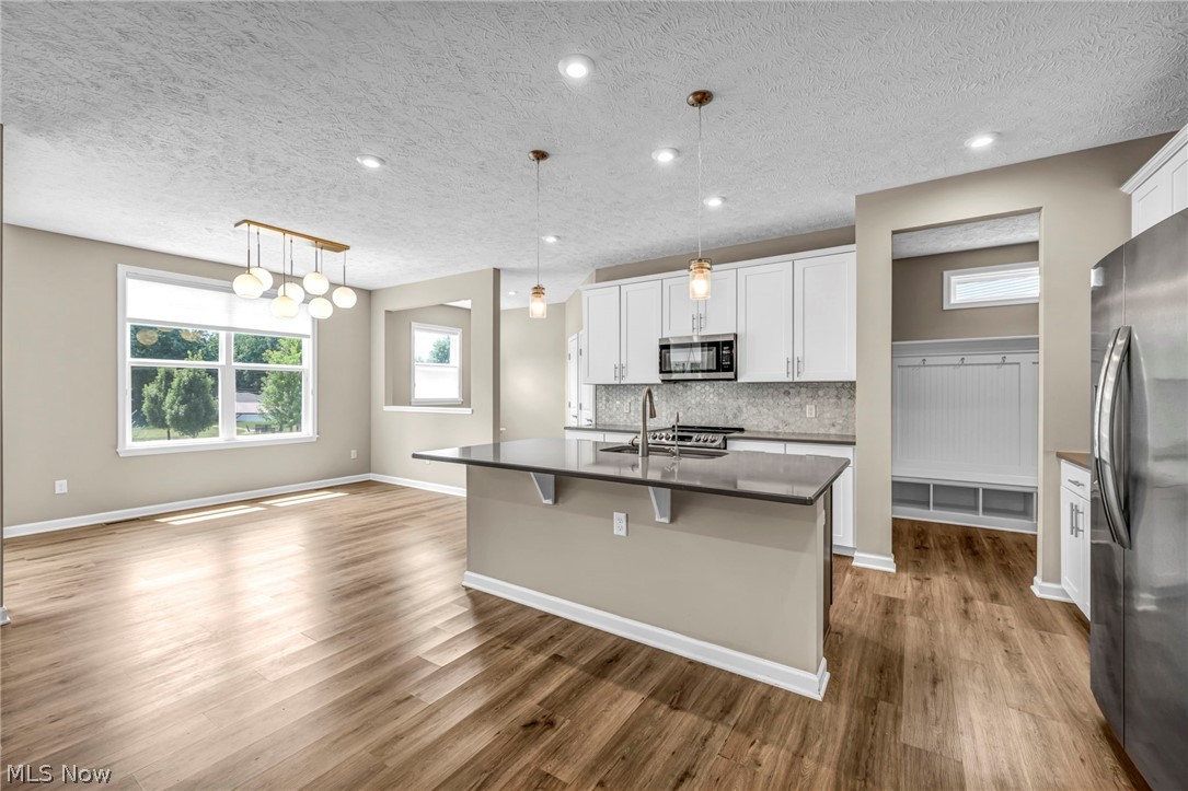 6244 Cardinal Meadow Court Mentor OH 44060