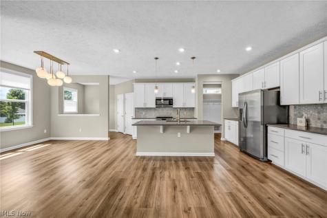 6244 Cardinal Meadow Court Mentor OH 44060