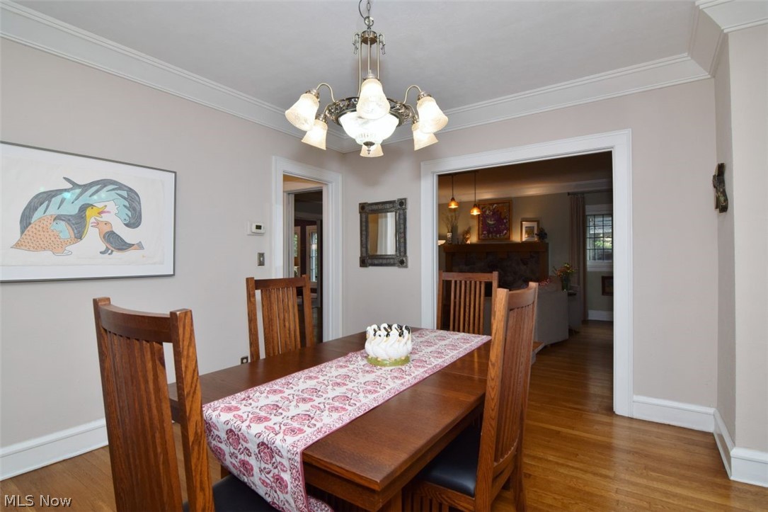 2336 Delaware Drive Cleveland Heights OH 44106