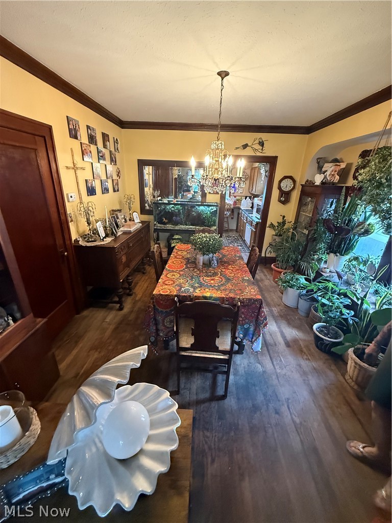 1517 Granby Avenue Cleveland OH 44109