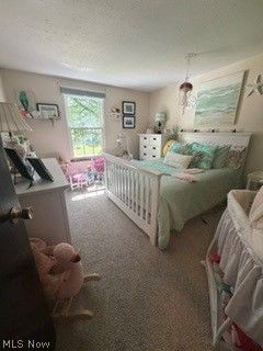 5800 Springwood Court Mentor OH 44060