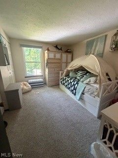 5800 Springwood Court Mentor OH 44060